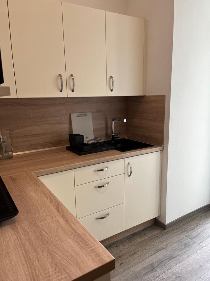 Moderni Apartman Uprostred Sumavske Prirody Zdikovec Экстерьер фото